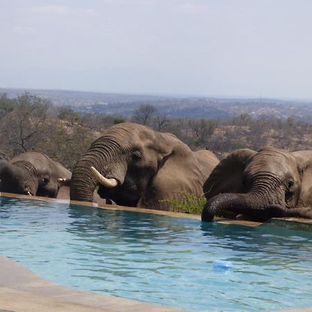 Mbizi Bush Lodge Grietjie Game Reserve Exterior photo