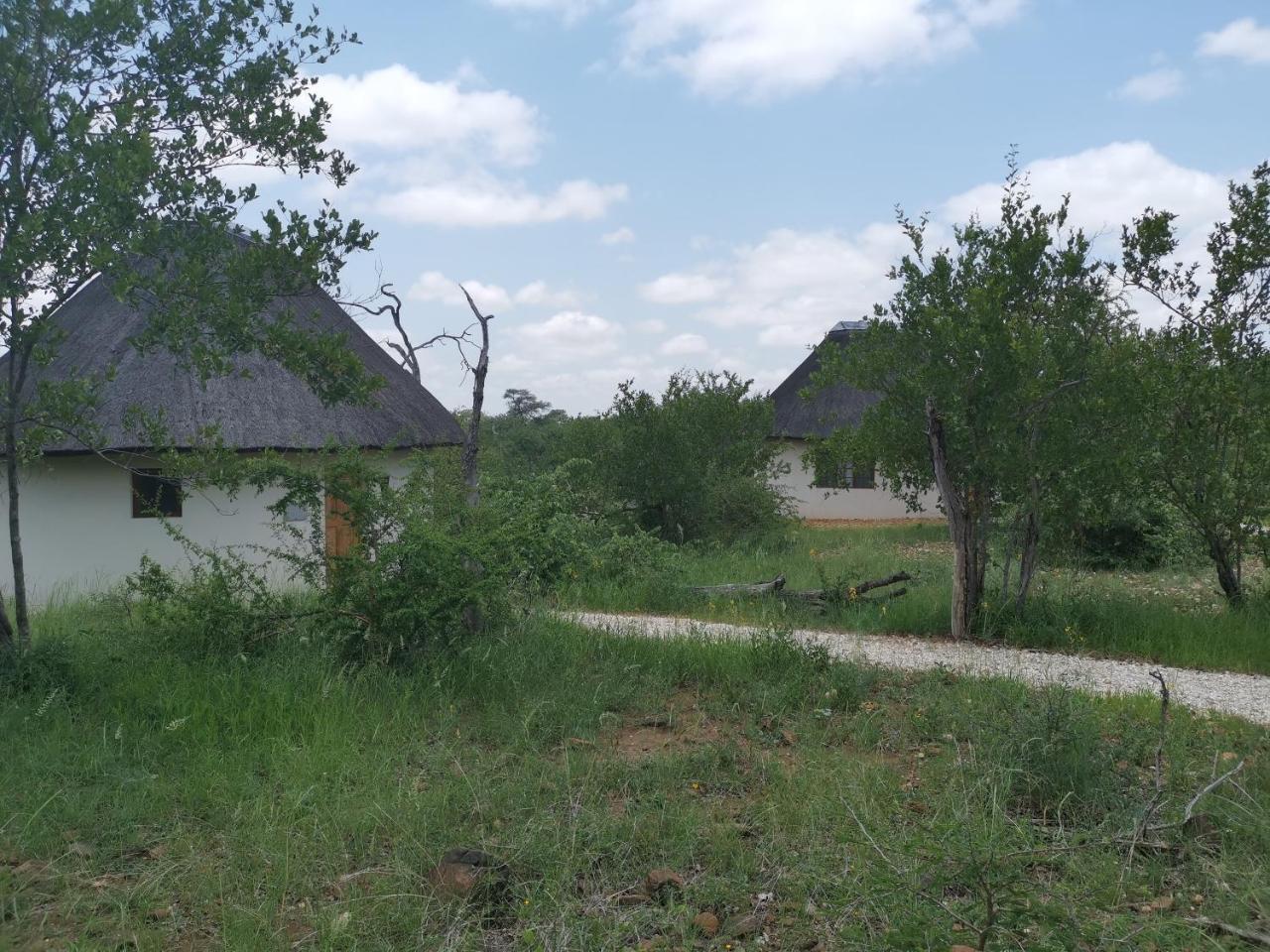 Mbizi Bush Lodge Grietjie Game Reserve Exterior photo