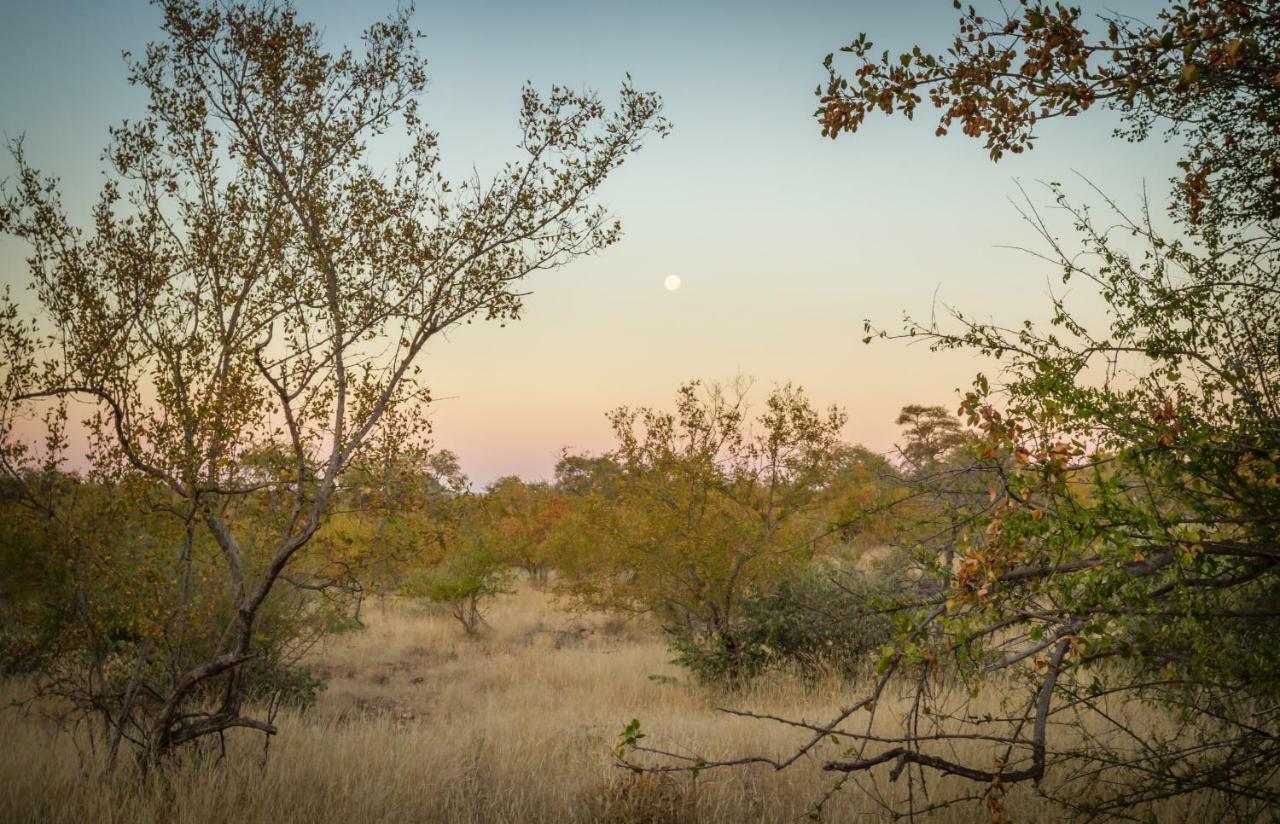 Mbizi Bush Lodge Grietjie Game Reserve Exterior photo